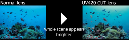 Difference between a normal mask lens and a Gull Vador 420 lens underwater - Blue Holic Scuba