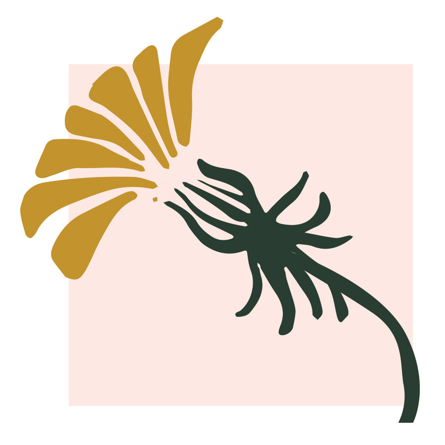 Dandelion Floral logo - Florist in Lander Wyoming