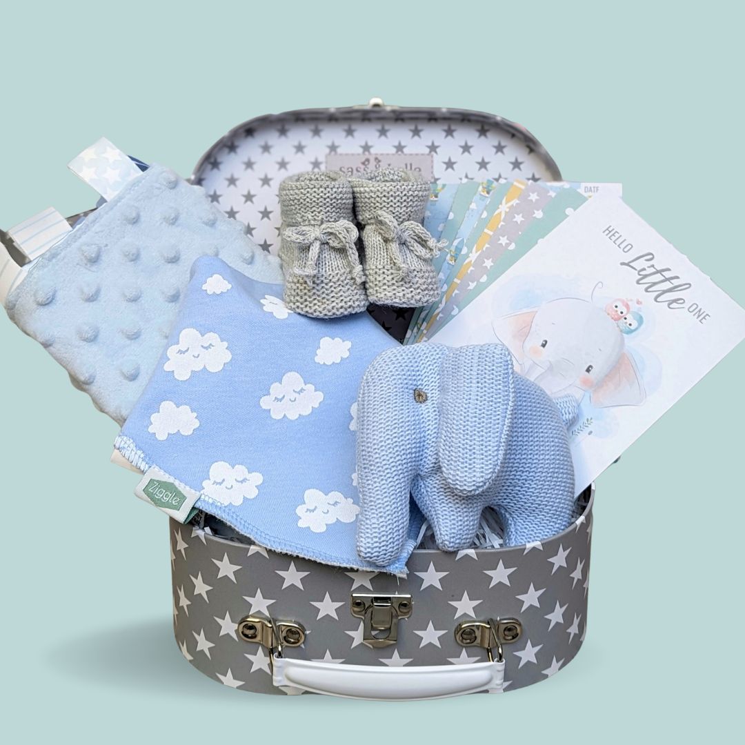 Baby Boy Hamper Trunk - Organic Elephant