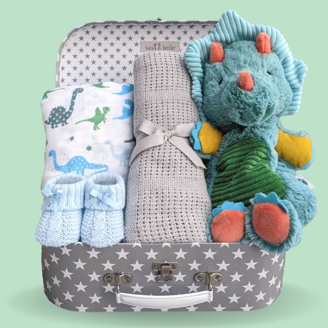 Baby Boy Hamper Trunk - Pebblesaurus Dinosaur