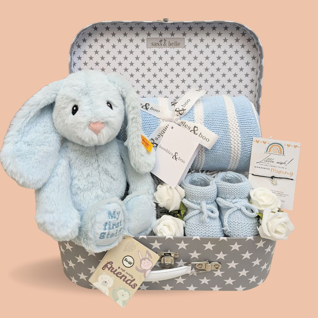 Baby Boy Hamper Gift - My First Steiff