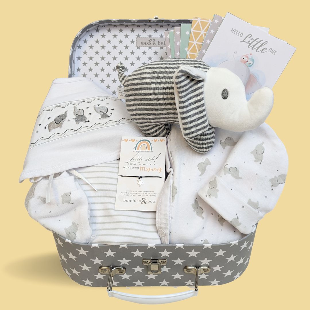 Baby Shower Hamper - Elephants & Stars