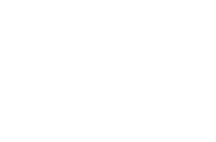 scharkspark store – ScharkSpark
