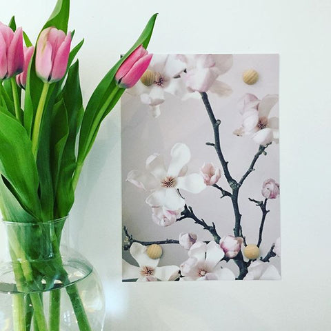 Blomsterposter med magnetiska träknappar - inga ramar, inga hål i väggen med Wallie design