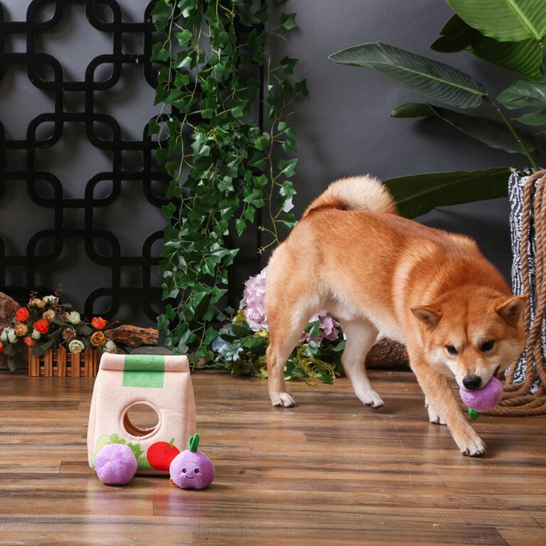 Grocery Bag Interactive Dog Toy