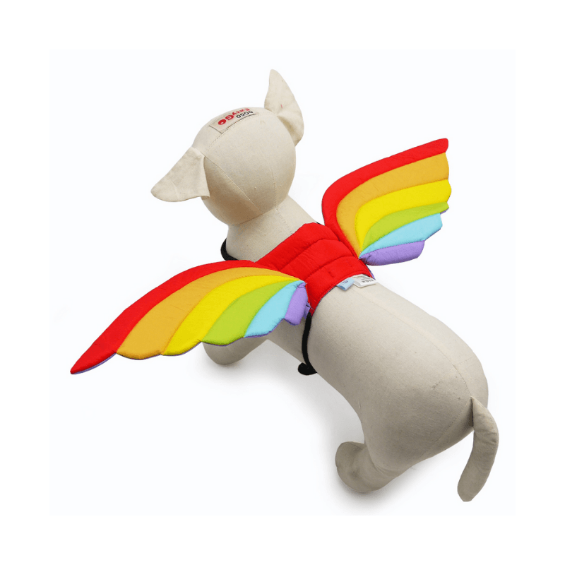 Rainbow Wings Dog Costume