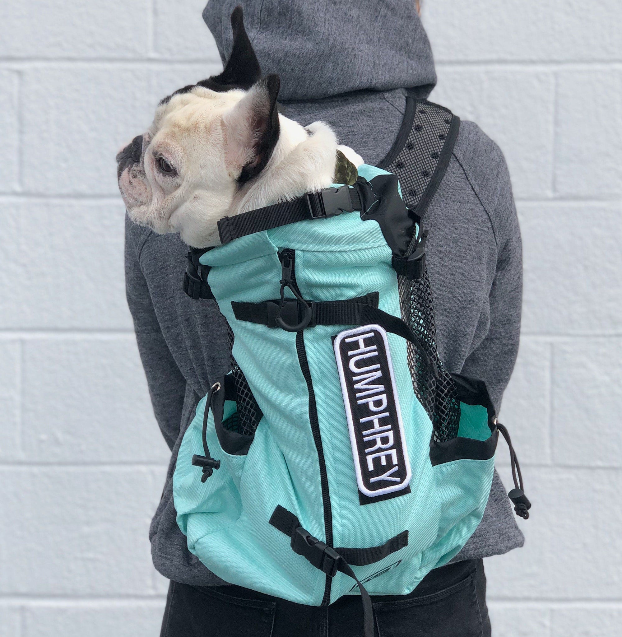 k9 sports sack air plus