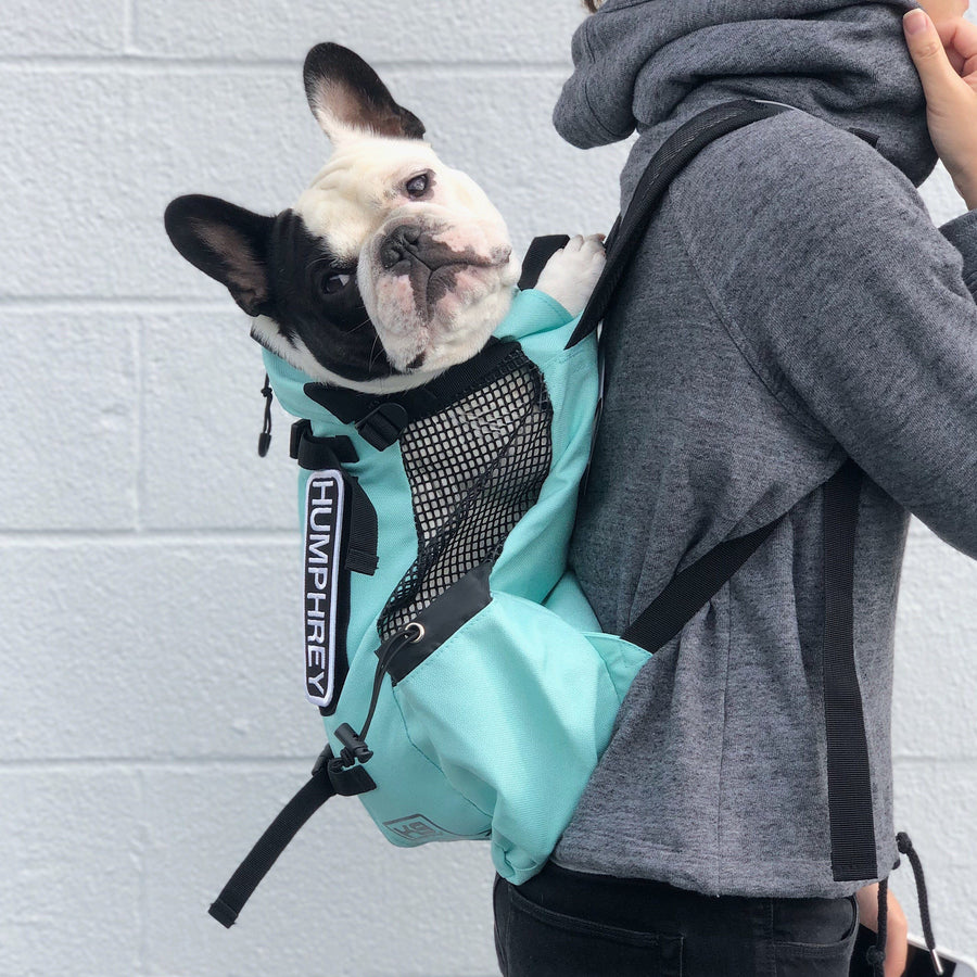 k9 sport sack dog carrier backpack