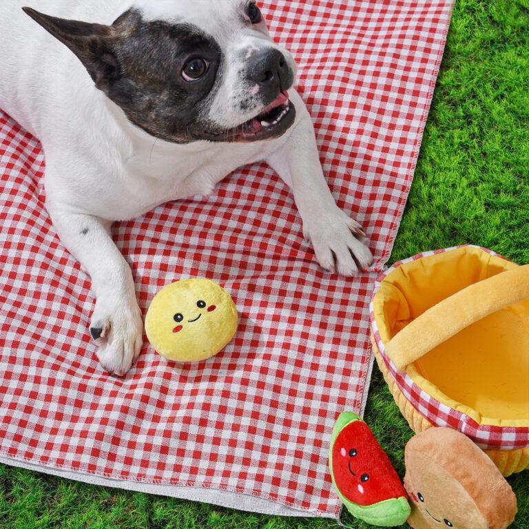 Picnic Basket Interactive Dog Toy