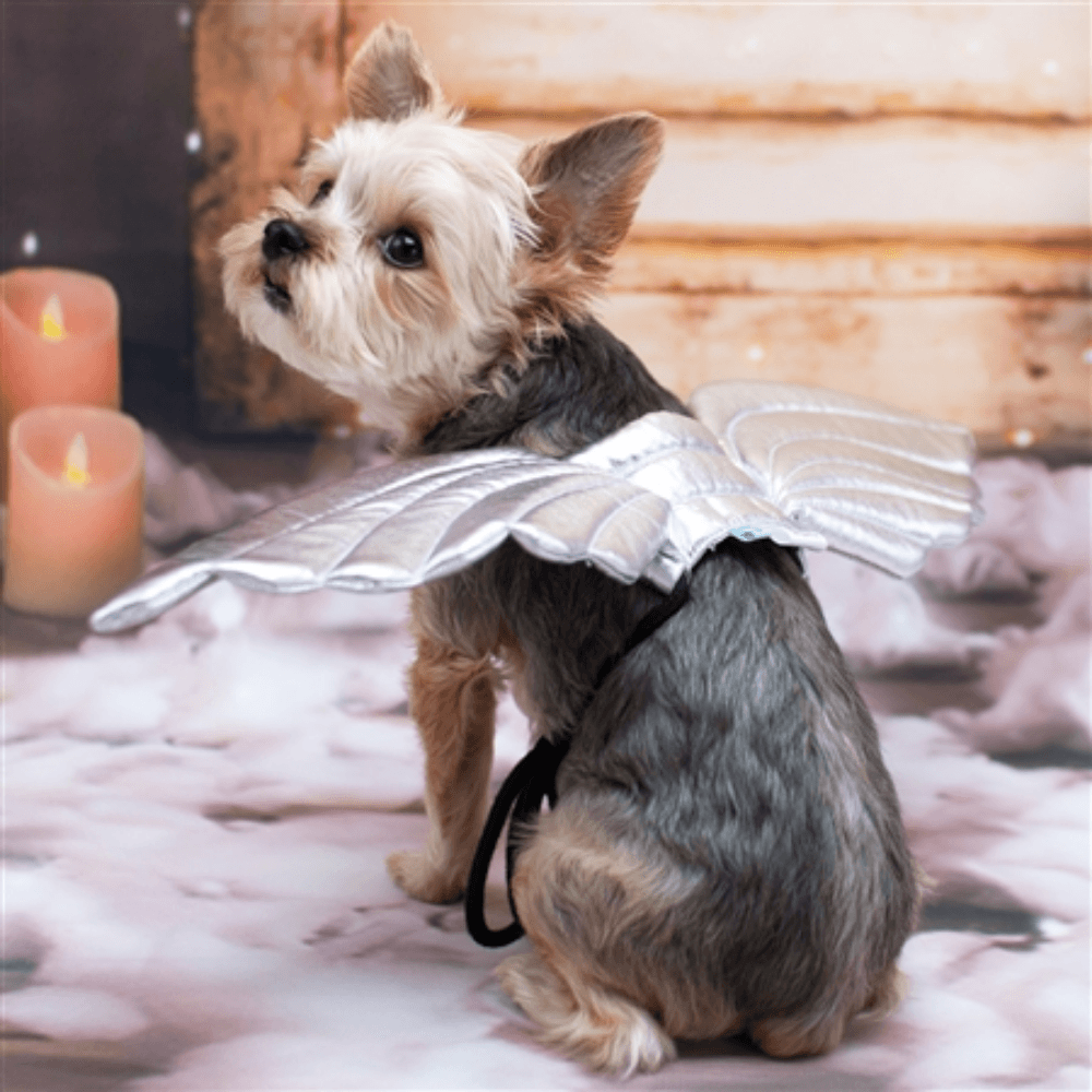 Angel Wings Dog Costume