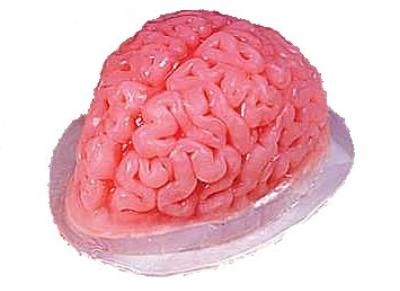 brain mold