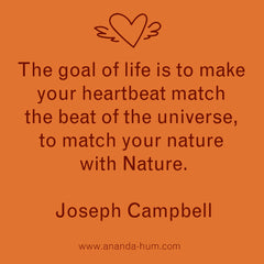 joseph campbell quote