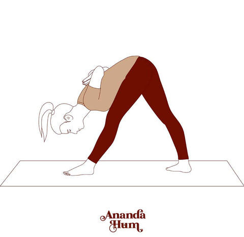 posture parsvottanasana avancée