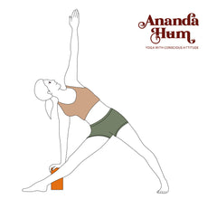 Iyengar Yoga: Body Alignment Through Props – Ananda Hum