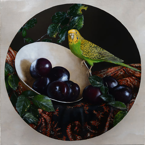 Still life with plums and budgie - oil on linen - 40 X 40 cm
