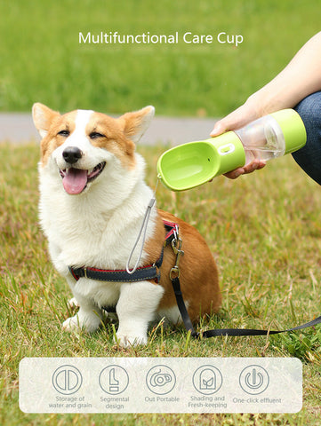 Dog Water Feeder With Food Container