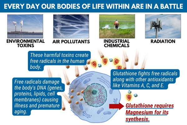 The Bodies of Life Within have been under Attack for a Long Time - Our Master Antioxidant Glutathione requires Magnesium for Synthesis