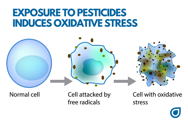 Exposure to Pesticides Induces Oxidative Stress 