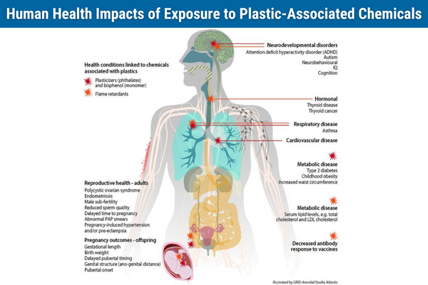 Human Health Impacts of Exposure to Plastic-Associated Chemicals