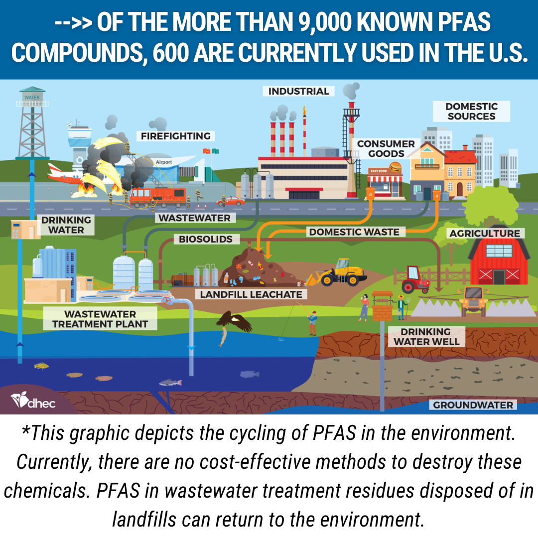 How PFAS Cycles Through the Environment Impacting Air, Soil, Ground Water and Humans