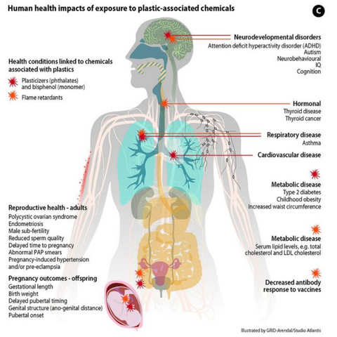 Human health impacts of exposure to plastic-associated chemicals