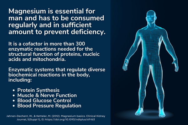Magnesium is Essential for more than 300 enzymatic reactions needed for Ideal Immune Function