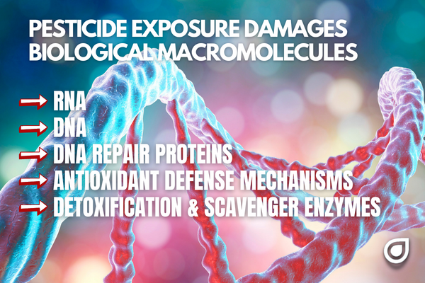 Pesticide Exposure Damages Biological MacroMolecules RNA, DNA, Repair Proteins and More