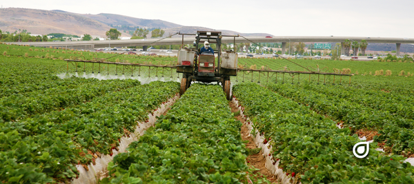 Pesticides Sprayed on Crops in Orange County, California