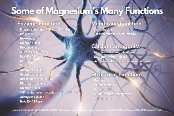 Some of Magnesium's Many Functions - Why it's Commonly Referenced as The Spark of Life