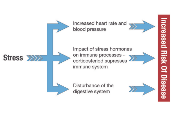 The Correlation between Stress and Disease highlighting the importance of Magnesium Bicarbonate for Overall Health and Wellbeing