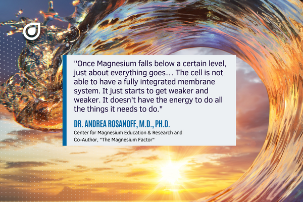 Once magnesium falls below a certain level, just about everything goes... The cell is not able to have a fully integrated membrane system - it just starts to get weaker and weaker