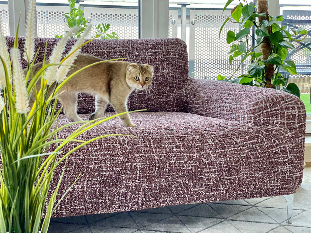 Graffio Taupe Sofa Cover Microfibra Prrinted