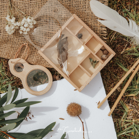 The Curated Parcel Nature Hunt Outdoor