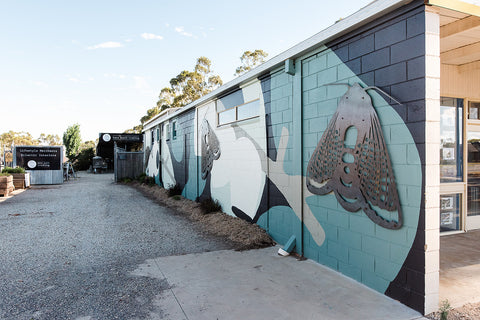 Organic themed mural on an exterior building wall in tones of blue, green and black, with laser cut steel cup moths in relief. Looking down into the view of the Hens Teeth Trading shop entrance.