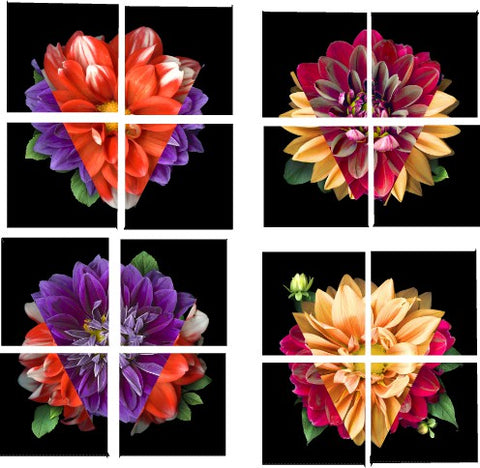 Tina's Garden flower fabric panel cut into squares