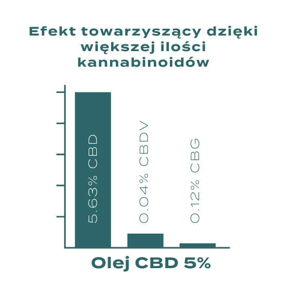 olejek cbd na co