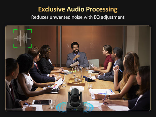 The PTZ camera used in the conference room delivers excellent audio quality.