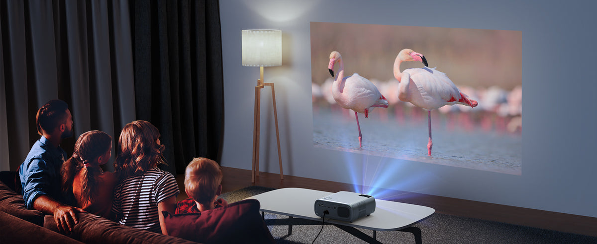 A family of four using the PJ40 projector to watch a movie