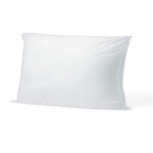 Indoor Outdoor Pillow Form 12