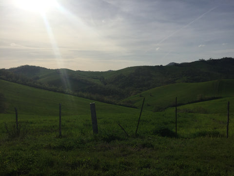 Irpinia landscape, on my way to Tornillo's factory