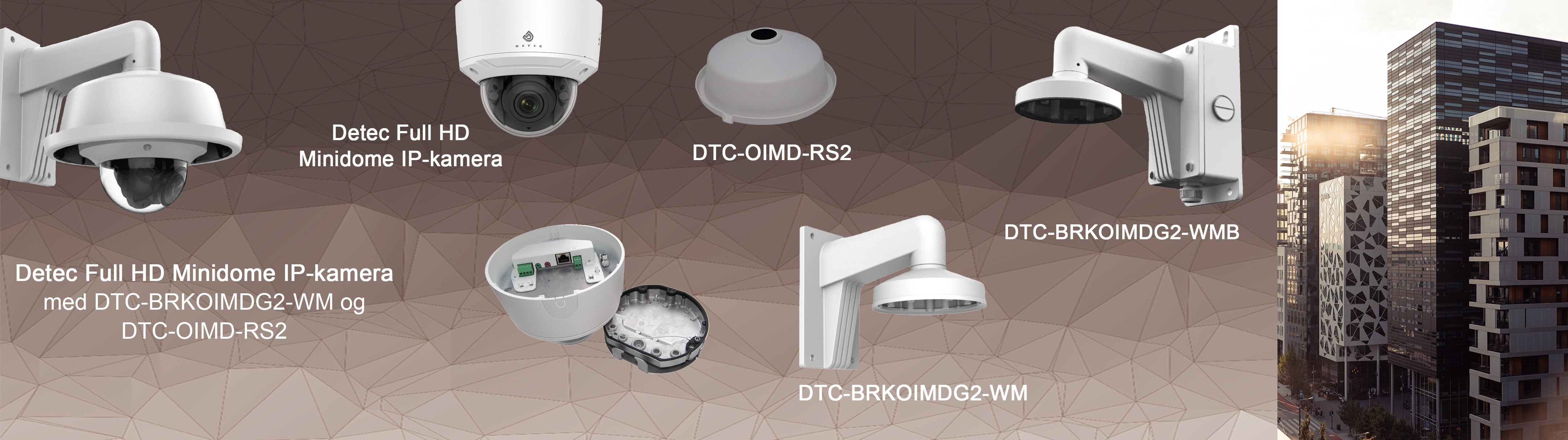 Detec Full HD Minidome IP Camera