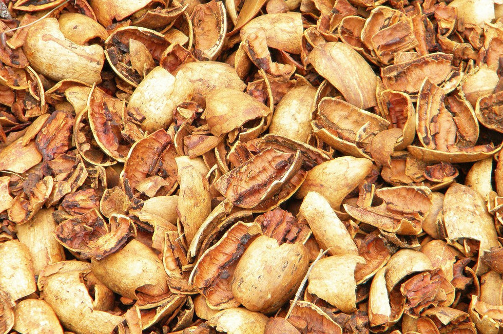 what-happens-to-all-the-pecan-shells-faq