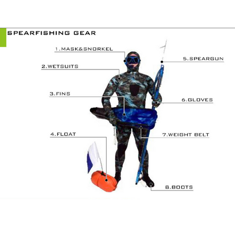 Spearfishing Lesson