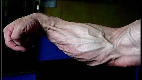 can hand grippers build biceps 