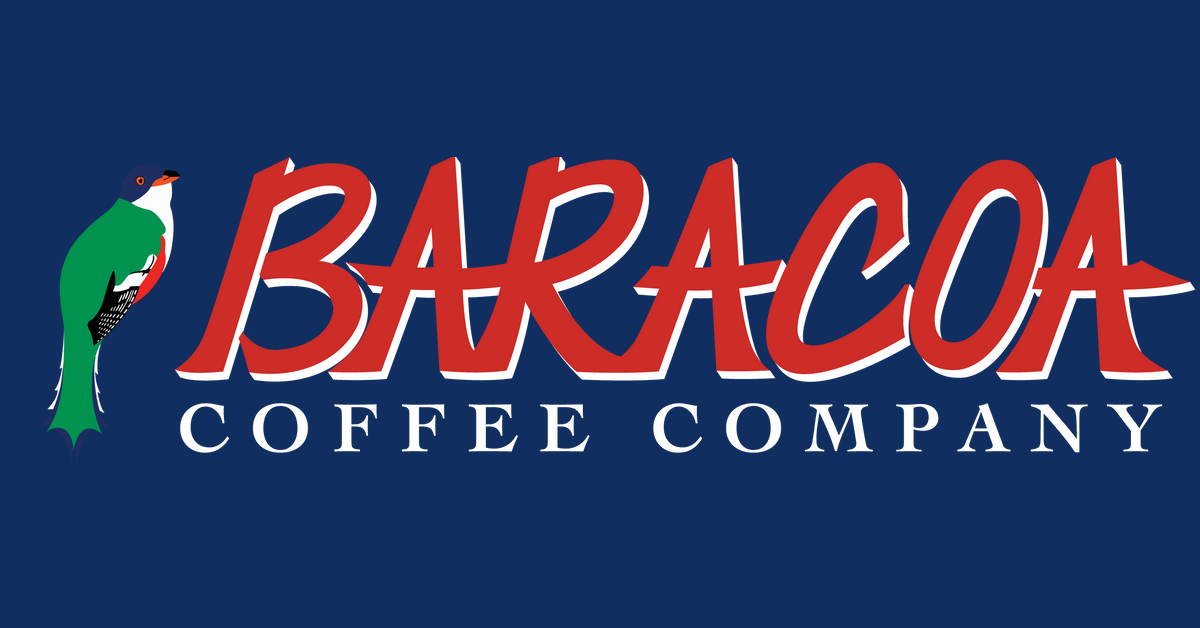 Traditional 6-Cup Cuban Moka Pot – Baracoa Coffee Company