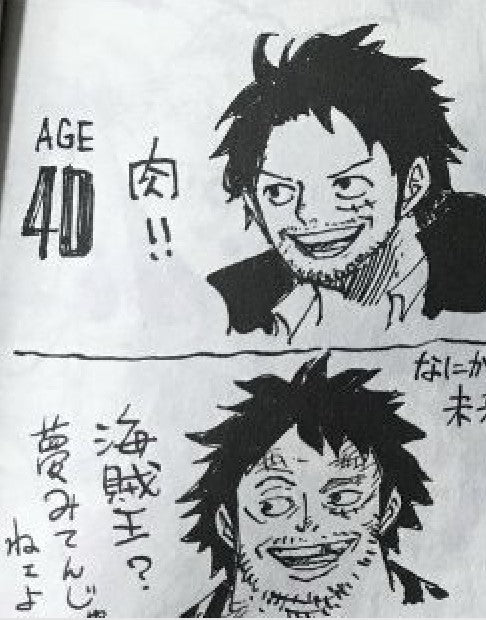 How Old Is Luffy 21 Luffy Shop