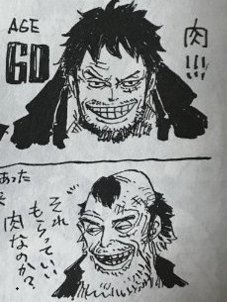 How Old Is Luffy 21 Luffy Shop How Old Is Luffy 21 Luffy Shop