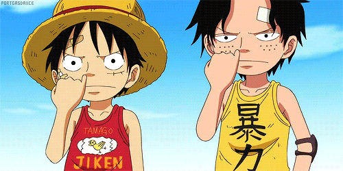 monkey d luffy mom