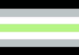 Facts About The Agender Pride Flag Pride Palace