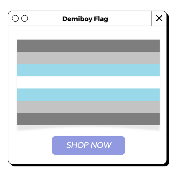 Demiboy Flag